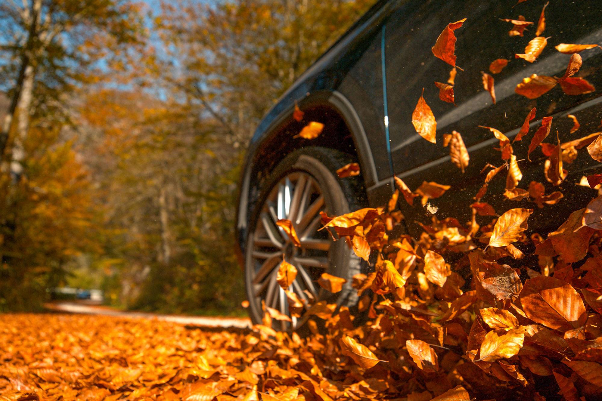 autumn-motoring.jpg